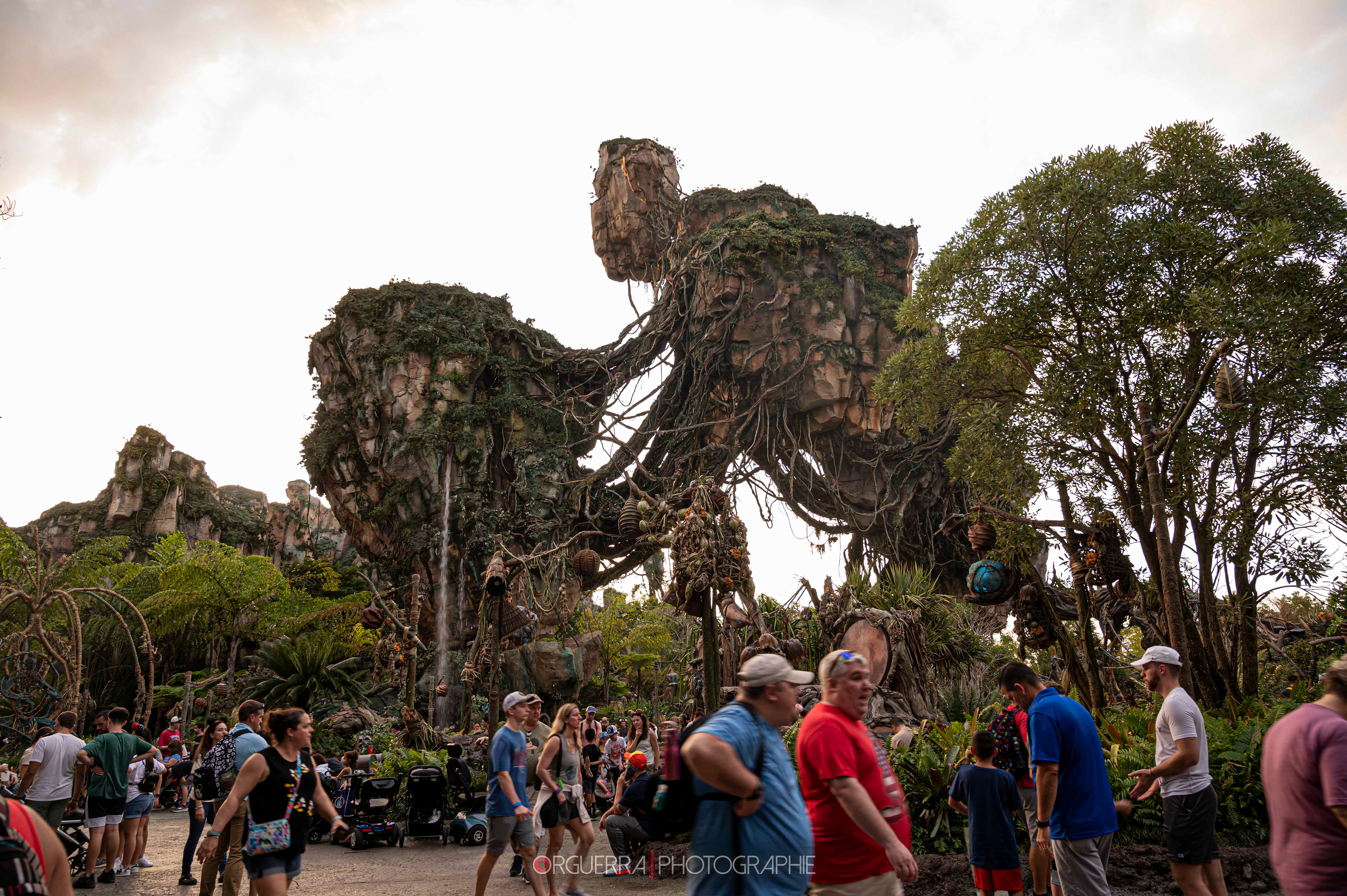 Magic Kingdom | Walt Disney World